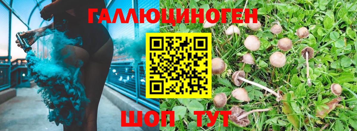 Псилоцибиновые грибы мицелий  Вход с VPN  Волжск 
