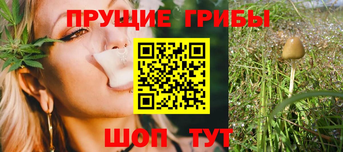 Галлюциногенные грибы Cubensis Волжск