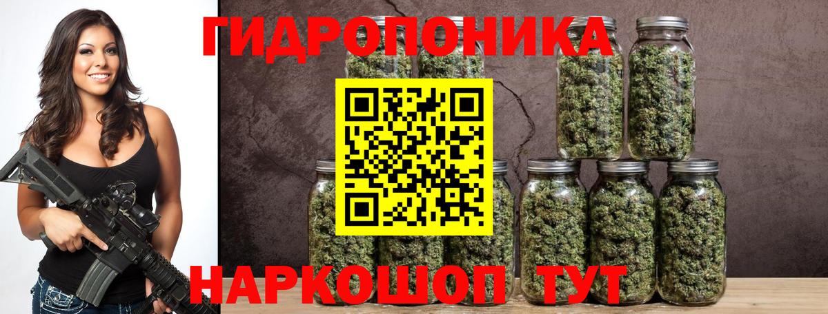 Конопля AK-47  Вход с VPN  Волжск  Каннабис Bruce Banner  Бошки марихуана план 